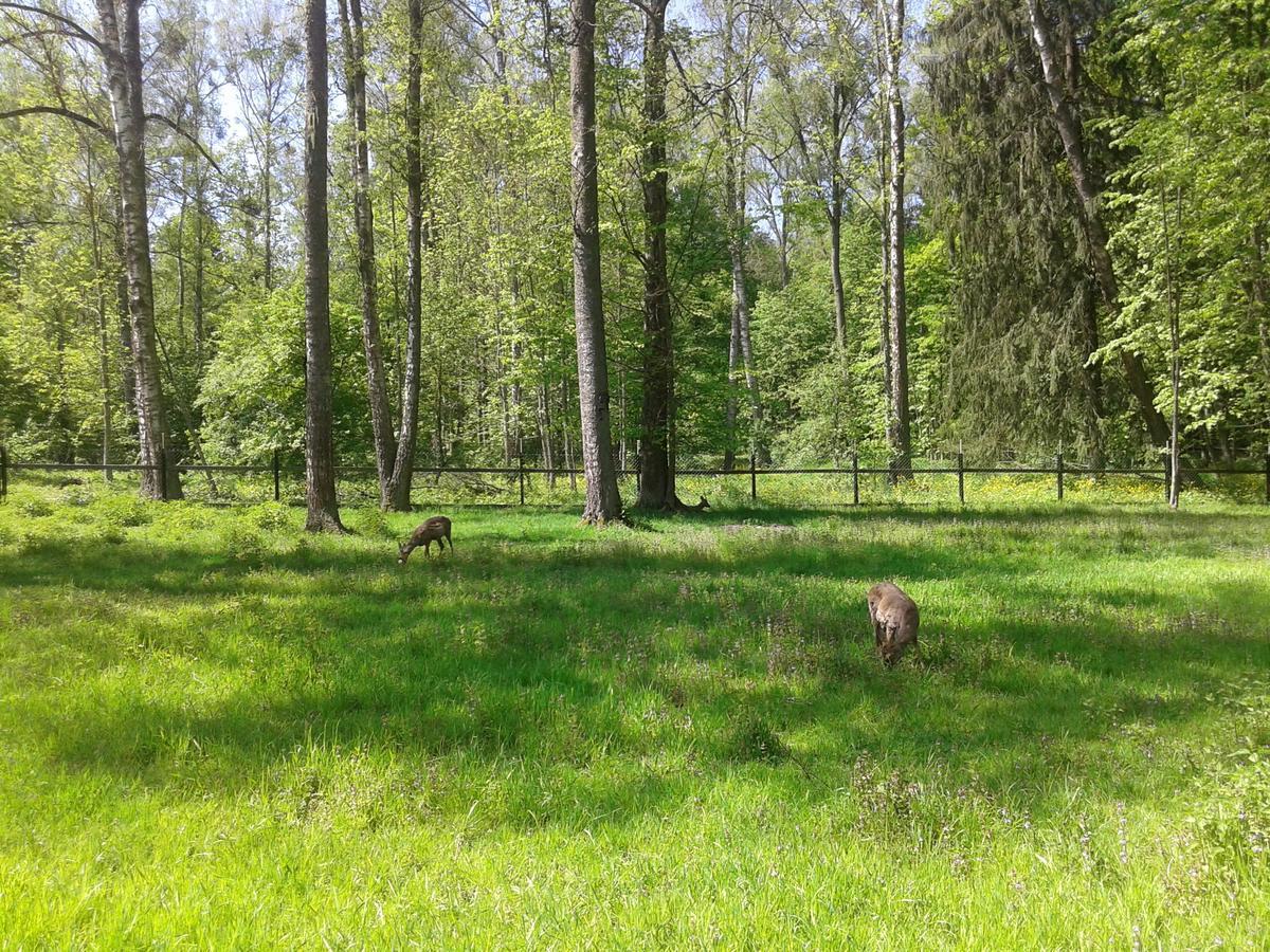בית הארחה Białowieża 	Cztery Pory Roku מראה חיצוני תמונה